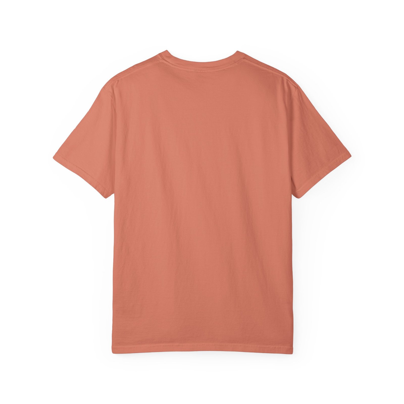 Garment-Dyed T-shirt - Comfort Colors 1717 - All American Hillbilly - Longhorn Steer Skull - Image 5